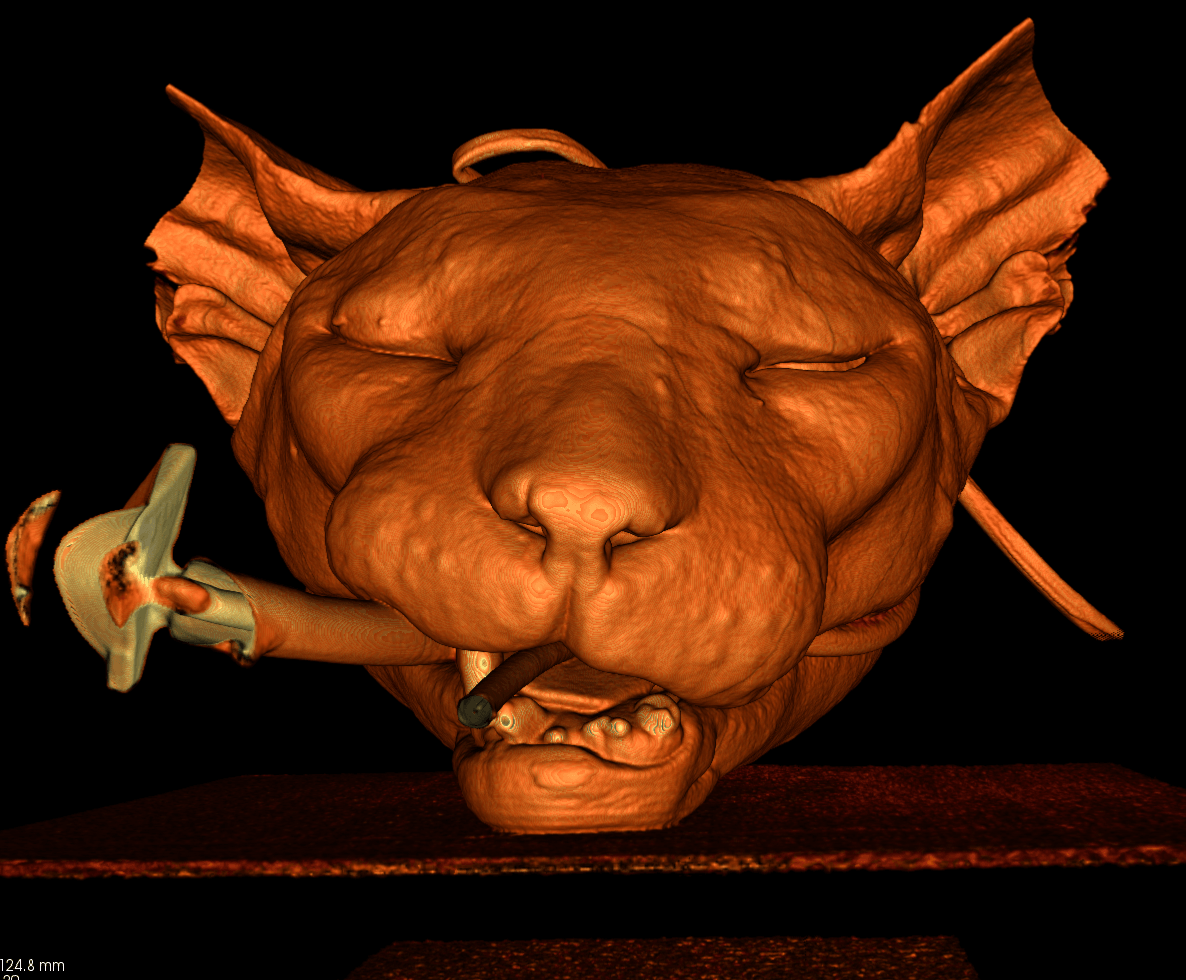 3D Cat in a CAT Scan
