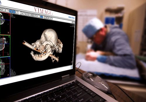 Vimago CT study Vimago CT study