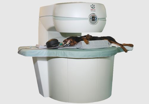 Magnetic Resonance Imaging